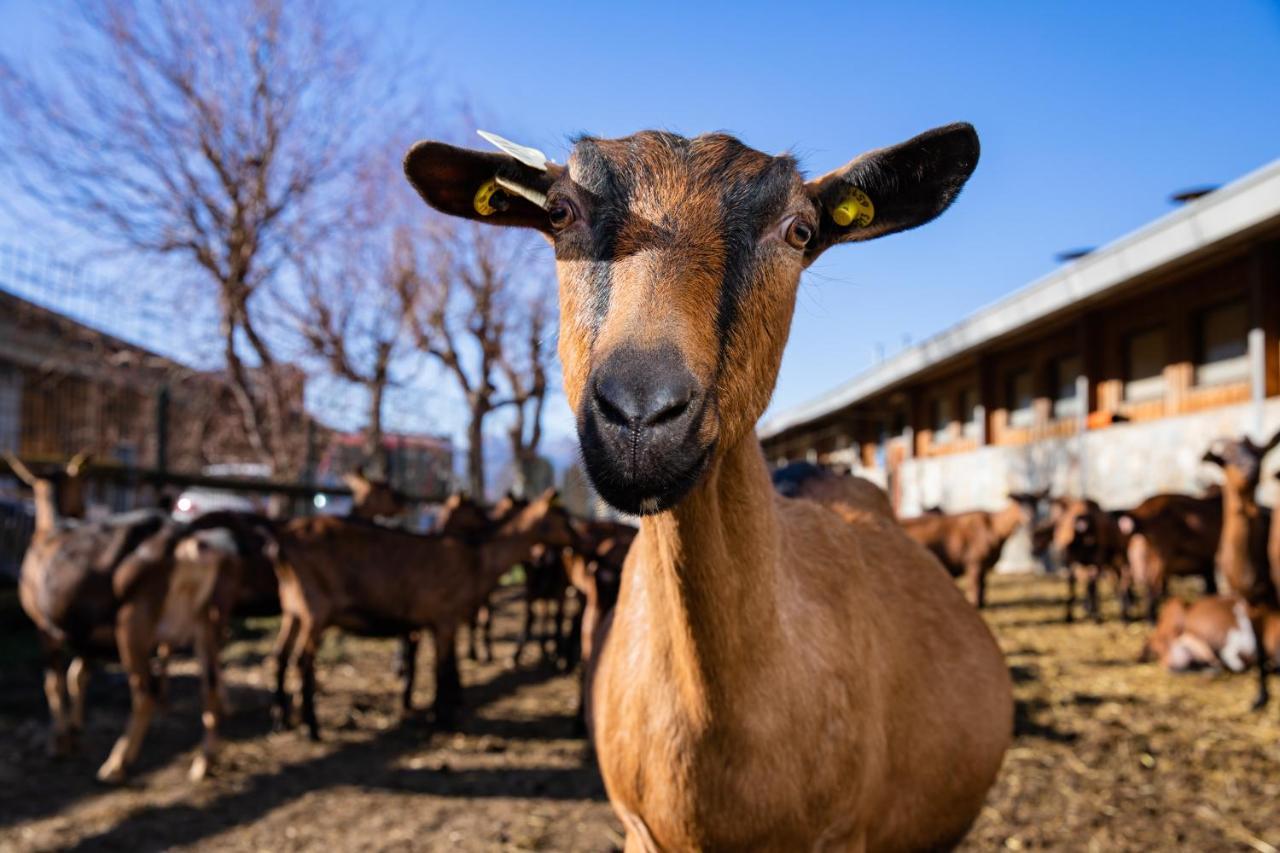 Agriturismo La Fiorida Villa Mantello Kültér fotó